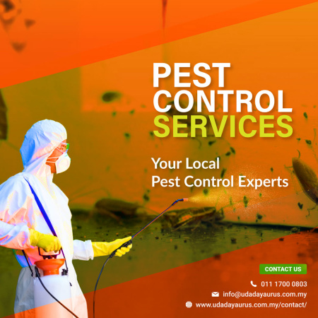 How to Prevent Pests in Your Building
